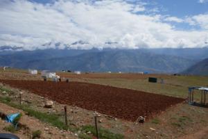 weit hinauf Feldanbau