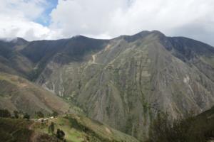 immer noch wird angebaut ( vor allem Manioka )