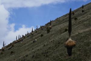 der Weg hat sich gelohnt